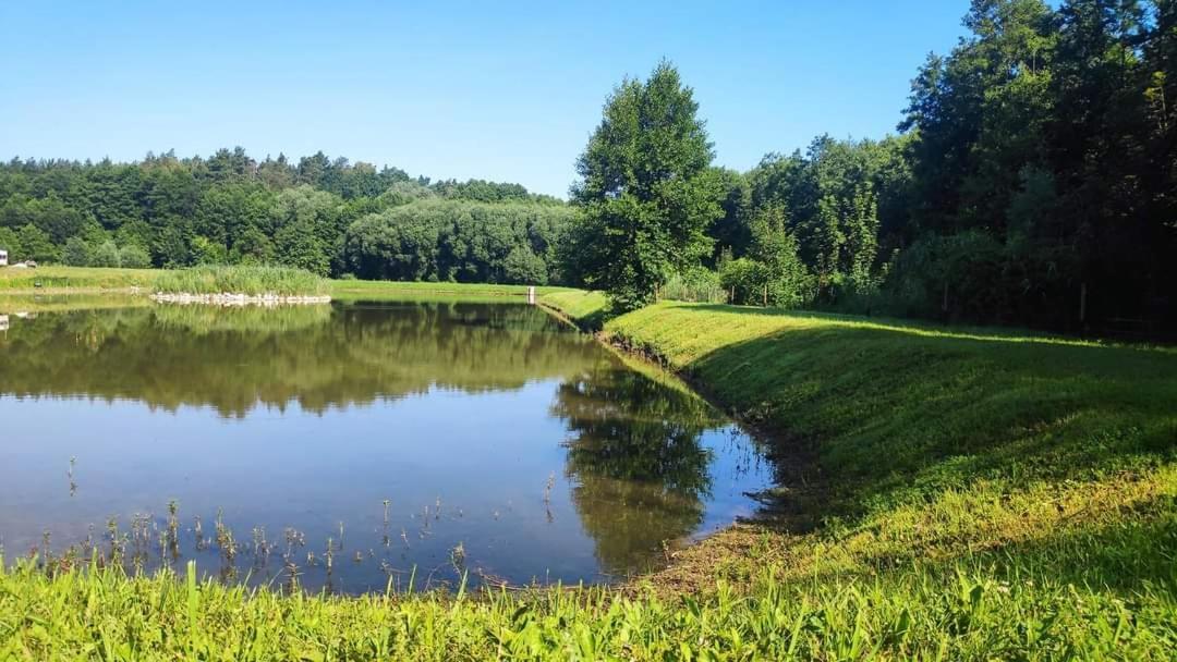 Agroturystyka Chycina Esterno foto