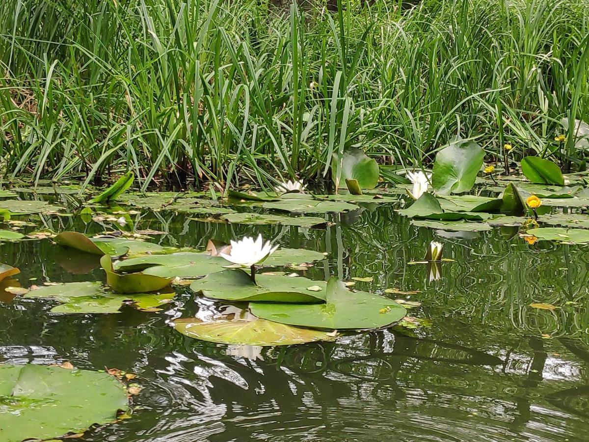 Agroturystyka Chycina Esterno foto